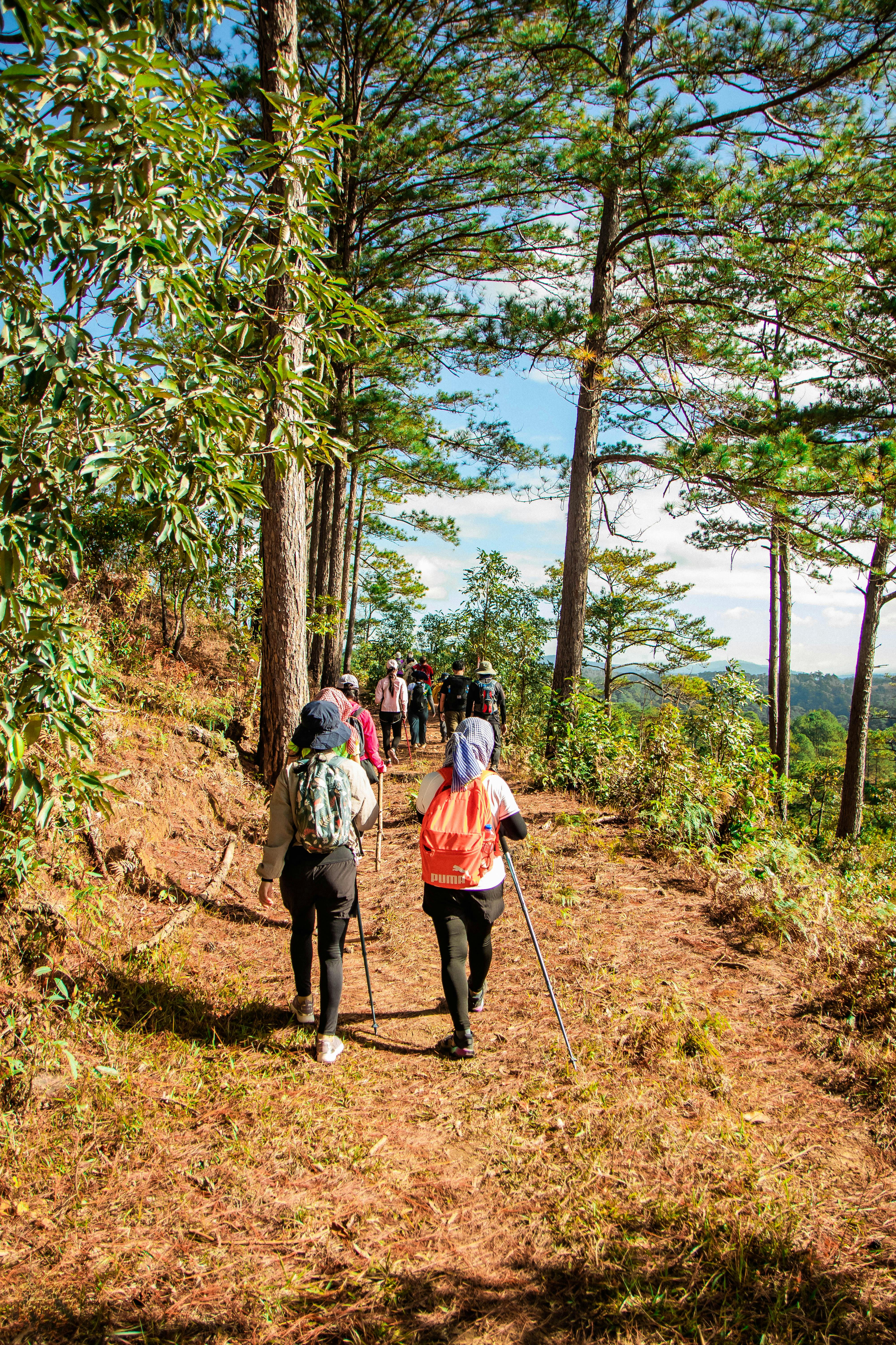 Trekking Adventure