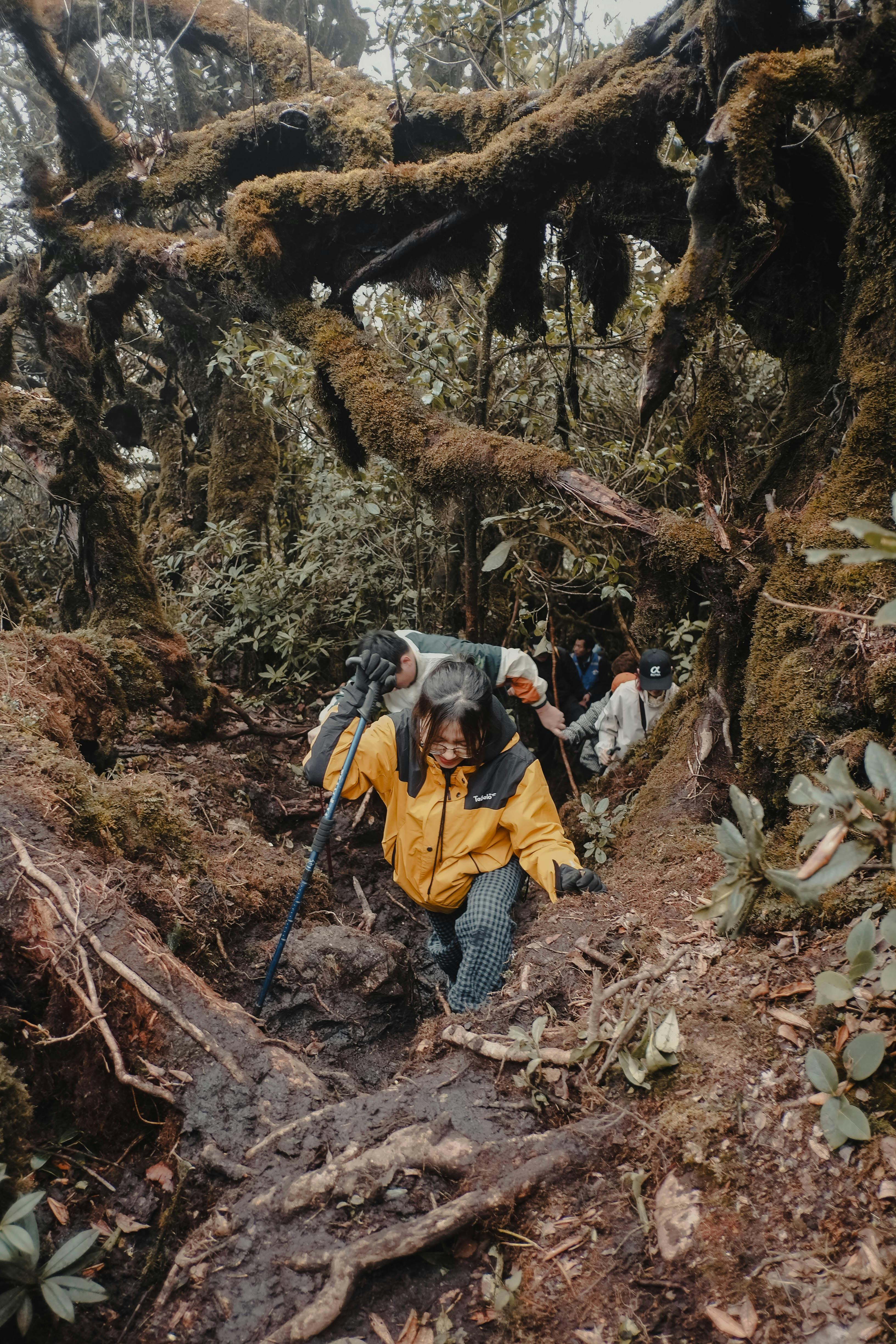 Mountain Climb